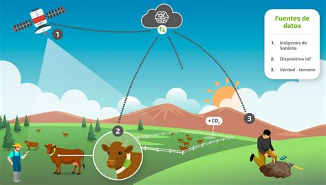 Esquema visual sobre el impacto ambiental de la ganadería versus la agricultura vegetal