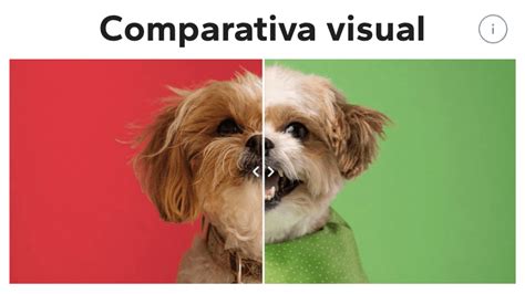 Comparativa visual entre huevos frescos y diferentes tipos de sustitutos como el tofu para repostería