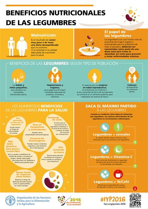 Infografía sobre los beneficios nutricionales de los porotos