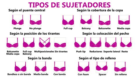 Infografía comparativa de sujetadores tipo balconet y push-up