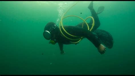 Buzos mariscadores sumergidos en el mar, realizando labores de monitoreo