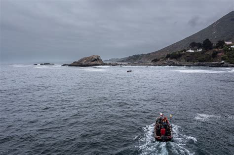 Turistas disfrutando de paseos en bote por el Refugio Marino de Zapallar