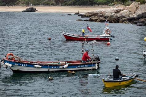 Pescadores en la caleta de Zapallar, con la zona del refugio marino en segundo plano