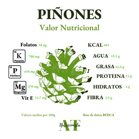 Infografía: Valor nutricional de los piñones (proteínas, grasas, vitaminas)