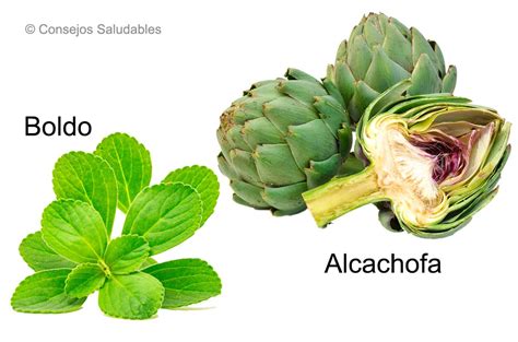 Infografía comparativa de los beneficios de alcachofa y boldo