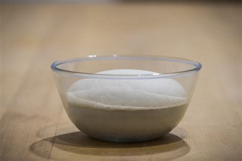 Masa de pan amasado lista para el segundo levado
