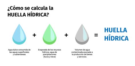 Esquema explicando la diferencia entre agua verde, agua azul y agua gris en la huella hídrica