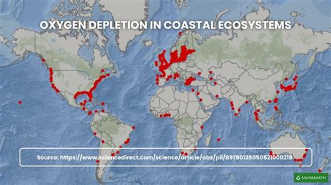 Mapa global mostrando zonas muertas marinas causadas por la contaminación de nutrientes