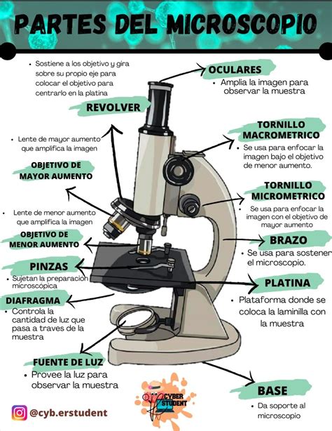 Esquema de las partes del sushi más comunes