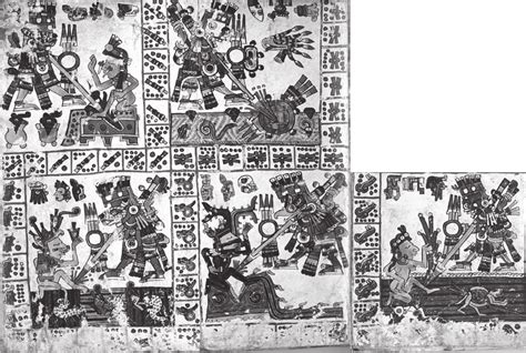 Planta de maíz como axis mundi, Códice Borgia, lám. 53