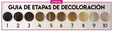 Infografía: Niveles de decoloración del cabello para tonos pastel
