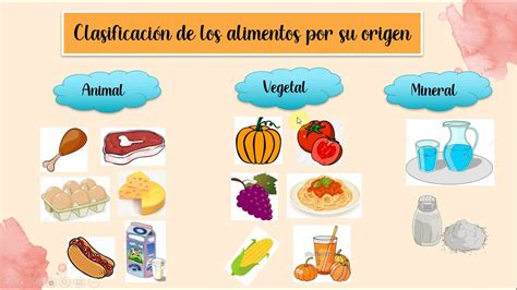 Ilustración: Clasificación de alimentos por origen (vegetal vs. animal)