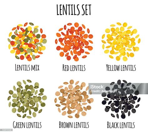 Ilustración de diferentes tipos de lentejas: verdes, rojas, marrones y negras.