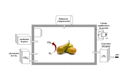 Diagrama mostrando el proceso de envasado en atmósfera modificada, con aire siendo reemplazado por gases