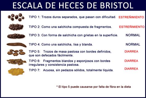 Gráfico comparativo de la escala de Bristol para evaluar la consistencia de las heces en dietas ricas en fibra.