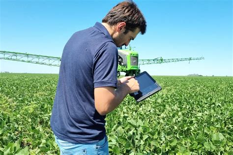 Campo de garbanzo con un técnico agrícola monitoreando el cultivo
