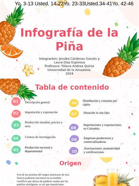 Infografía sobre cómo preparar piña y frutas a la parrilla de forma segura