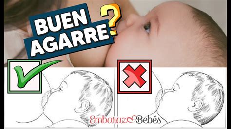 Diagrama mostrando el agarre correcto (boca abierta, labios evertidos, gran parte de la areola dentro) e incorrecto (solo el pezón) del bebé al pecho