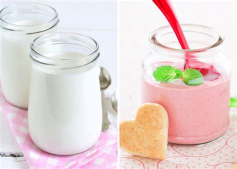 Comparativa visual de yogurtera, crock-pot y olla a presión para hacer yogur casero