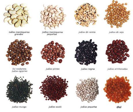 Infografía con fotos de diferentes variedades de porotos (negros, pintos, rojos, peruanos, blancos)