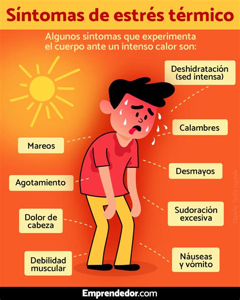 Ilustración detallada de los síntomas del estrés térmico en diferentes tipos de plantas.