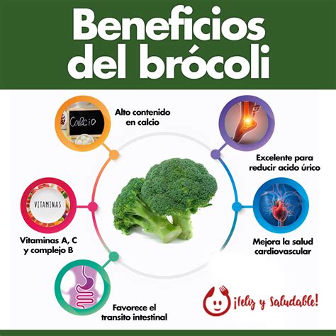 Infografía sobre la composición nutricional del brócoli y sus beneficios para la salud.