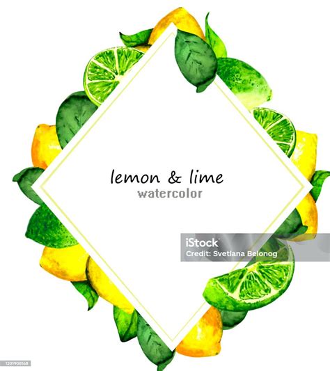 Ilustración de limones y limas frescos, destacando su acidez y frescura