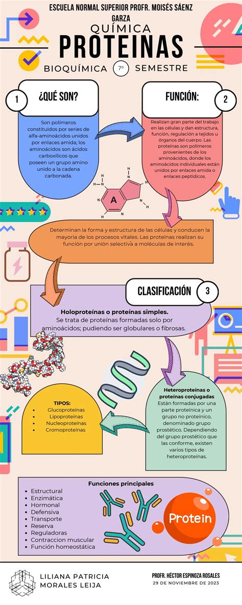 Infografía: Beneficios de las proteínas en la dieta para la pérdida de peso