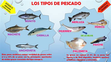 Infografía: Comparativa nutricional de diferentes tipos de pescado
