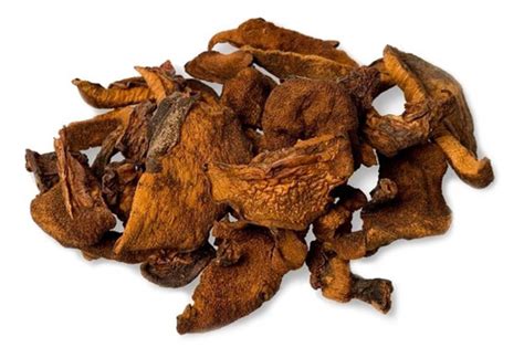 foto de callampas secas y frescas