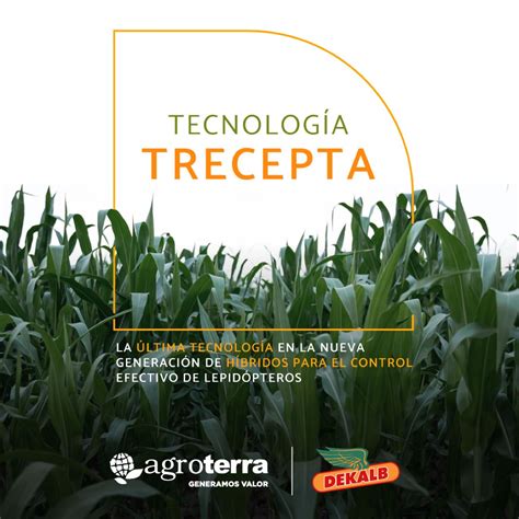 Infografía: Mecanismo de acción de la tecnología TRECEPTA en maíz DK 440