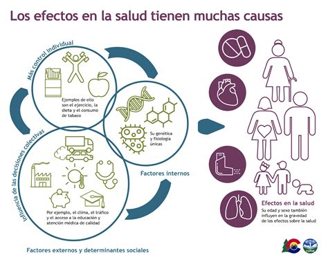 Infografía sobre los efectos del sodio en la salud