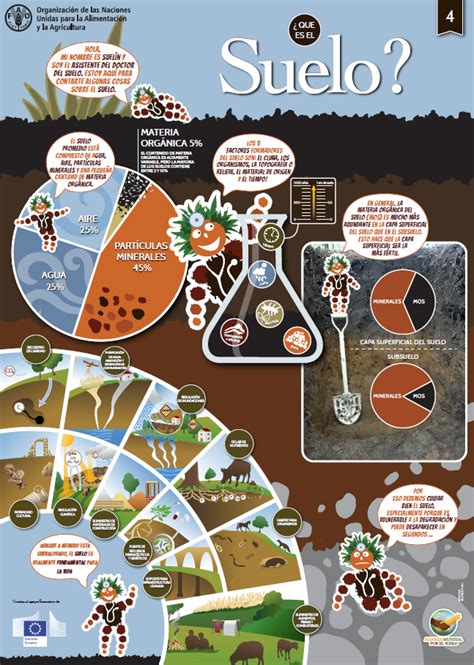 Infografía sobre las diferentes formas de vida de Phytophthora en el suelo y estructuras de resistencia