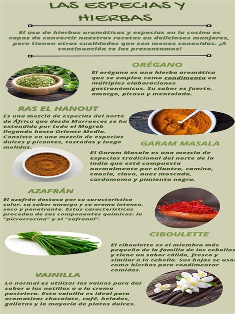 Infografía mostrando diferentes especias y hierbas que se pueden añadir a la salsa de yogur