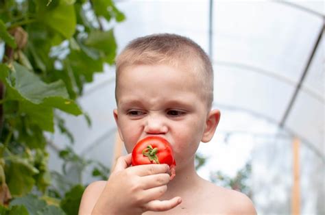 Primer plano de un tomate rojo maduro y una persona sonrojada