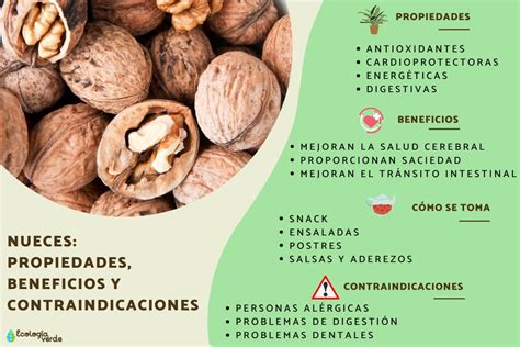 Infografía: Beneficios de la nuez para la salud (corazón, cerebro, colesterol, fertilidad)
