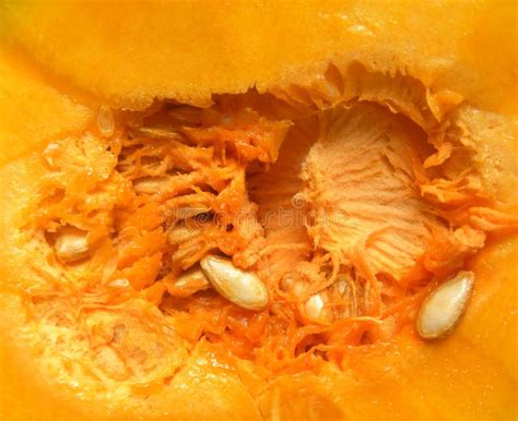 Corte transversal de calabaza fresca, mostrando sus semillas y textura interna