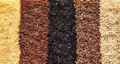 Muestra de diferentes arroces por color (blanco, rojo, negro, jazmín)