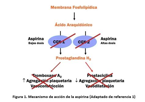 Esquema que ilustra el mecanismo de acción de la aspirina: reducción de tromboxano, dilatación de vasos sanguíneos placentarios y mejora del flujo sanguíneo.