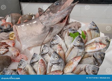 Fotografía de pescados frescos de Manabí exhibidos en un mercado