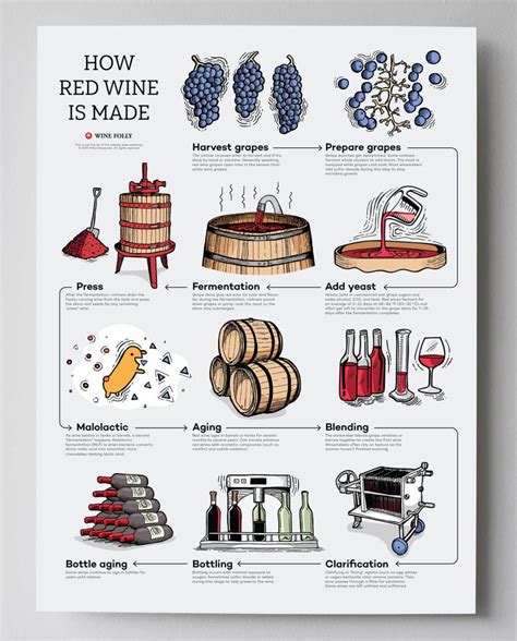 Esquema de materiales básicos para hacer vino casero