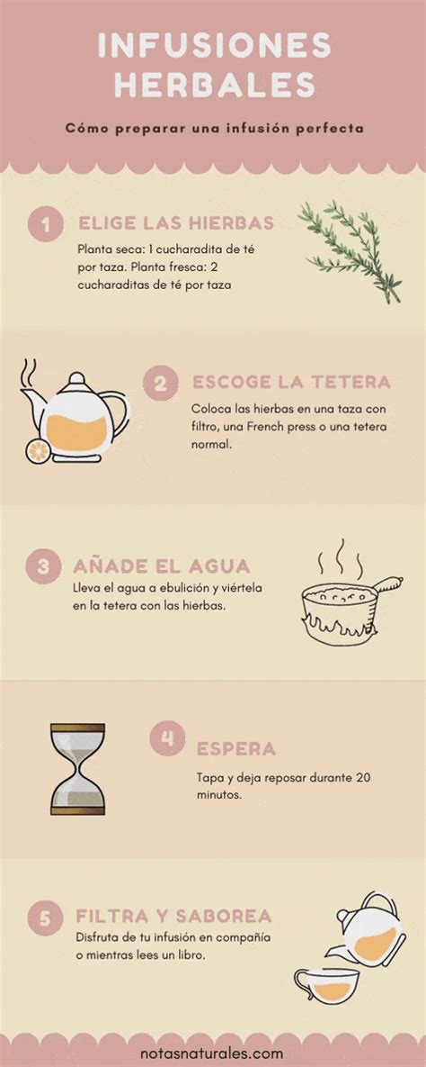 Infografía: cómo cortar frutas y hierbas para infusión