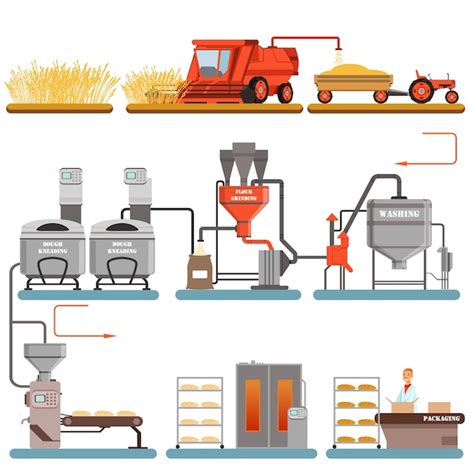 Diagrama que ilustra las etapas del proceso de horneado del pan, destacando la importancia del vapor y el calor.