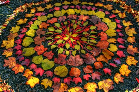 Detalle de una instalación efímera de Andy Goldsworthy con hojas