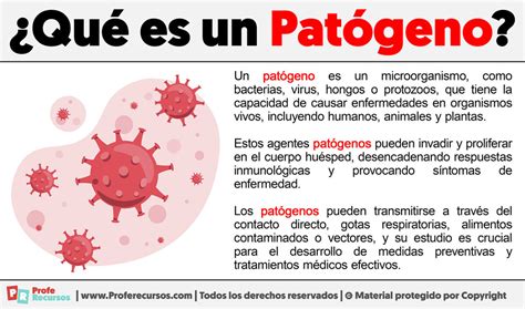 Infografía mostrando un diagrama de los patógenos más comunes encontrados en la leche cruda y sus efectos.