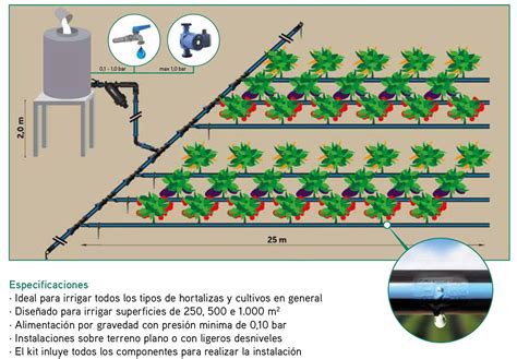 Instalación de sistema de riego por goteo en un cultivo de cebollas en camellones.