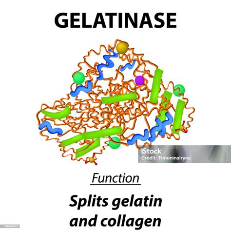 Infografía mostrando la estructura molecular de la gelatina y cómo ayuda a estabilizar la mousse.