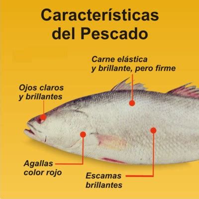 Esquema de las principales características organolépticas del pescado fresco