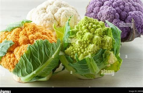 Infografía con diferentes variedades de coliflor (blanca, morada, verde, romanesco)