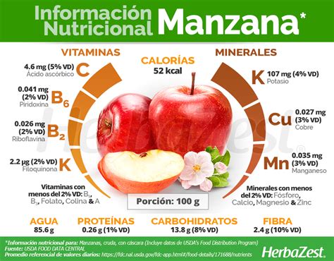 Esquema de la composición nutricional de una manzana, destacando fibra, vitaminas, minerales y fitoquímicos como flavonoides y pectina.